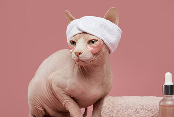 Sphynx cat enjoying a spa day with eye patches and a headband a pink background