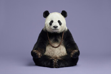 Zen panda bear meditating with closed eyes and wooden beads on purple background