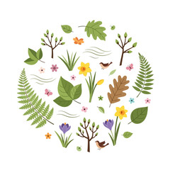 Spring botanical elements circle, nature illustration