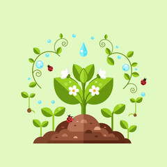 Sprouting Plant with Ladybugs and Water Drops in Flat Design