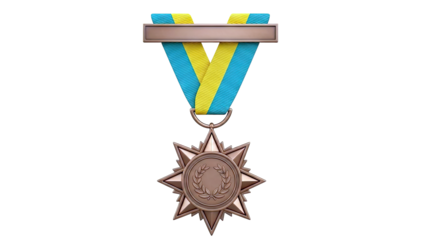 Bronze Star Medal with Laurel Wreath