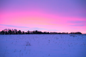 Pink winter sunrise in Canada