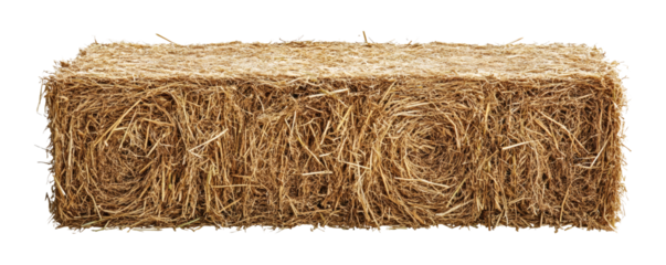 Large rectangular bale of golden straw