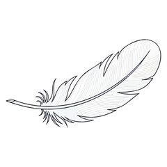 Elegant delicate white feather illustration showcasing its intricate natural beauty and design