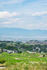 中野の棚田と南アルプス市の街並み