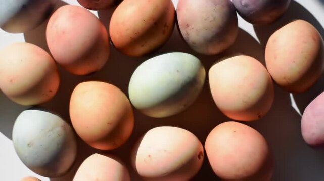 Pastel colored Easter eggs arranged on a white surface, casting soft shadows.