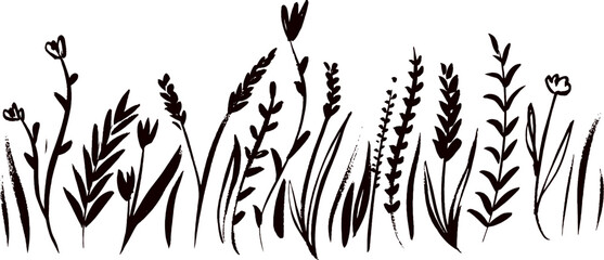 wildflower silhouette vector. A detailed silhouette of various wild grasses and seed heads against a white background in a striking black and white design. Wildflower Meadow and Grass  © Tuhin