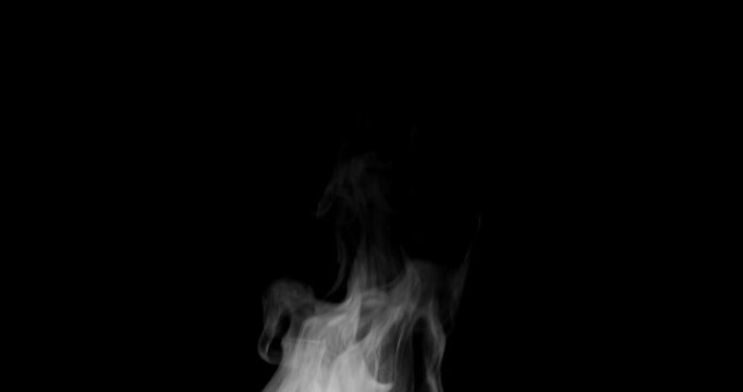 Trickle of Steam Slowly Rising from the Cup. White steam rises light, graceful twists on a black background. Slow motion. Footage is perfect for the layer with different blending modes.