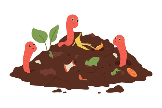 Vermicomposting Process with Earthworms and Organic Matter Illustration. Illustration showing the vermicomposting process where red earthworms break down food scraps into rich, dark compost soil