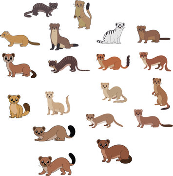 Large collection of cute weasel ferret and mongoose cartoon characters in various colors and poses flat vector illustration set