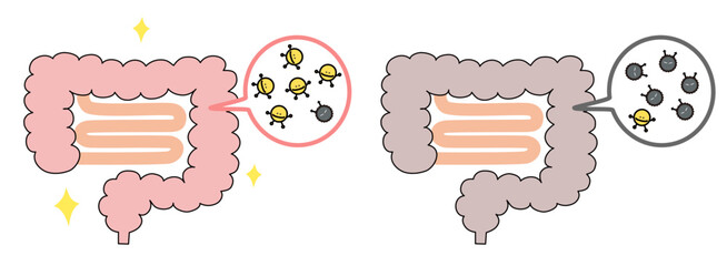 善玉菌、悪玉菌、腸内環境のベクターイラスト