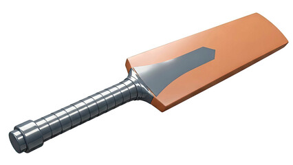 Modern Cricket Bat with Brown Blade and Grey Grip