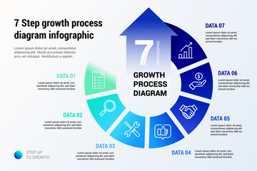 7 Step growth process diagram infographic