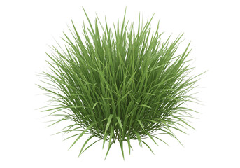 Lush green grass bunch on black background