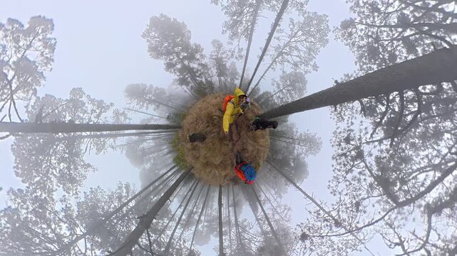 Hiker exploring foggy pine forest on tiny planet