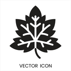 Obraz premium Black maple leaf icon, vector illustration, isolated on white background