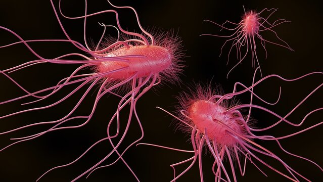a 3d rendering of rod-shaped bacteria with numerous long, whip-like appendages. Pectobacterium carotovorum formerly known as Erwinia carotovora, a plant pathogen.