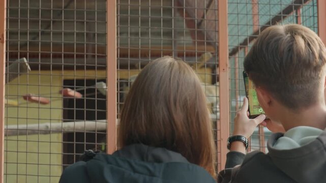 two white teens filming monkey enclosure, capturing closeup shots through metal mesh, handheld phone recording candid curiosity, educational signage, daylight outing and playful interaction
