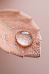 Macro water droplet leaf in peach velvet. This serene close-up features a single leaf droplet reimagined as fuzzy peach-colored velvet, showcasing haptic textures and soft morning light.