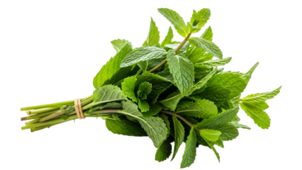 Fresh sage leaves isolated on transparent background