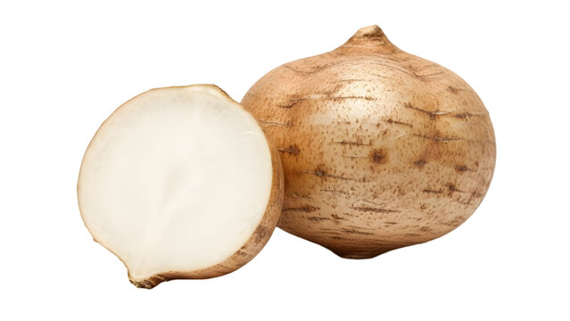 Jicama root vegetable isolated on transparent background