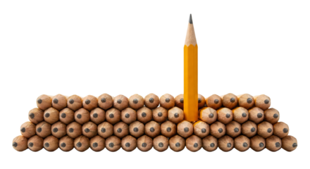 Standing Out Pencil Among Many, Idea, Creativity, Leadership, Uniqueness, White Background