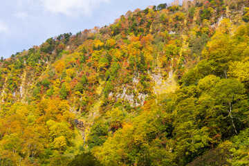 日本の風景・秋　富山県立山町　称名滝付近の紅葉
