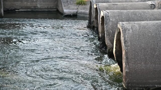 A large pipe is releasing water into a natural stream.