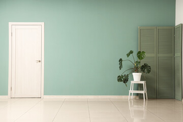 View of big room with door, palm plant and folding screen
