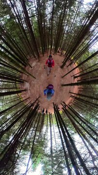 Hikers exploring la malinche volcano forest