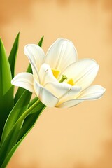 Obraz premium Bunga Putih