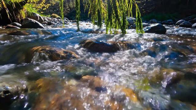 Crystal clear water tumbles over smooth river rocks in dappled sunlight, showcasing a serene natural flow