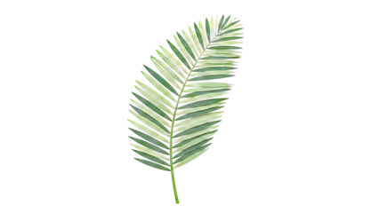 Green Palm Frond