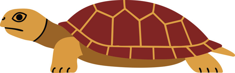 Flat of a turtle