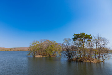 北海道大沼2025春-大沼の景色-07