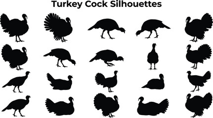 Turkey cock silhouettes collection, farm poultry bird poses, black vector icons, agricultural wildlife illustration set, isolated white background design © Shahariar's World