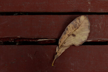 A dry leaf that has fallen onto the surface of a wooden bridge