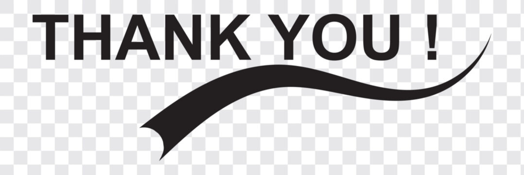 Thank you hand writen lettering calligraphy