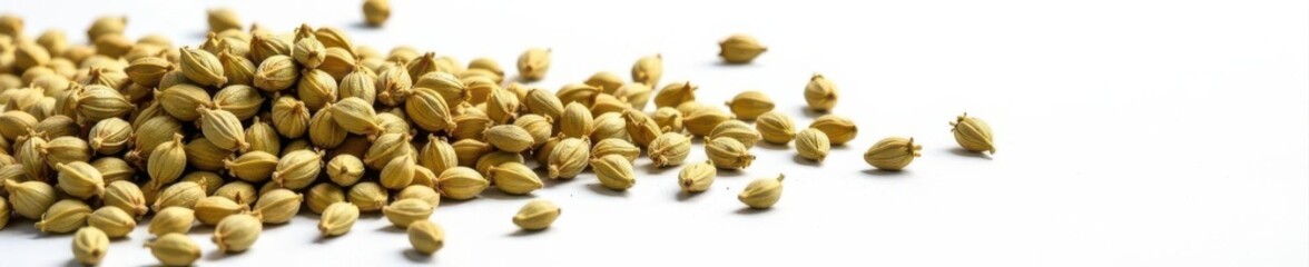 Loose hemp seeds and leaves spill, white background, plant, eco, healthy