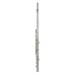 Classical silver flute musical instrument isolated © BTG
