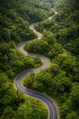 aerial view of a winding asphalt road cutting through dense green forest