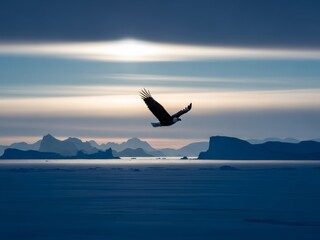 Conceptual art of an American bald eagle soaring over Greenland's icebergs. Symbolic of US geopolitical strategy, Arctic annexation, and northern sovereignty. Ideal for news and editorial