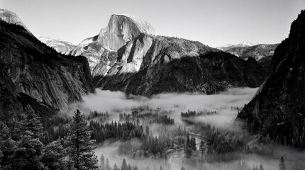 Half Dome Yosemite Valley Foggy Forest River Black White