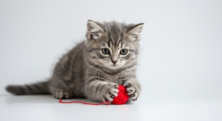 Playful gray striped kitten joyfully batting a small red yarn ball on a clear white background bathed in soft light.. AI Generated