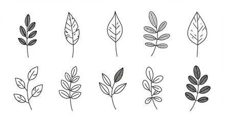 Clean monochrome hand drawn botanical elements simple leaf and branch line art illustrations on a white background. AI Generated