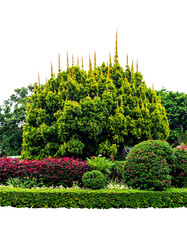 Obraz premium A vibrant summer landscape captures a lush green park and garden where red flowerbeds blossom along a grassy path under a clear blue sky