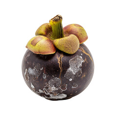 A single mangosteen fruit, isolated on a pure white seamless background