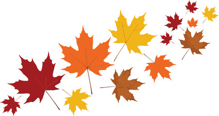 Fototapeta premium Autumn maple leaves clipart for fall decorations, seasonal crafts, Thanksgiving designs, scrapbooking, and nature-themed graphic projects