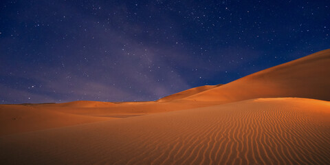 beautiful view of the desert in the evening