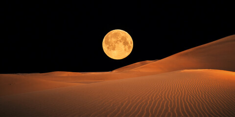beautiful view of the desert in the evening